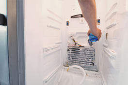 Refrigerator repairing specialist